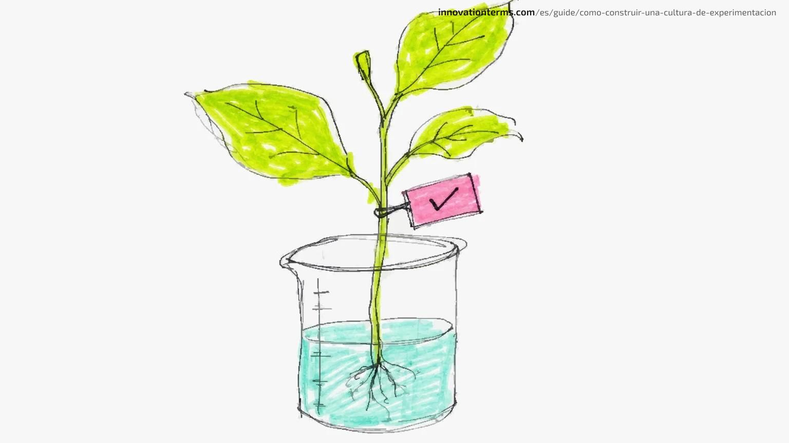 Una planta con hojas creciendo fuera de un matraz de laboratorio con una etiqueta de verificación en su tallo.